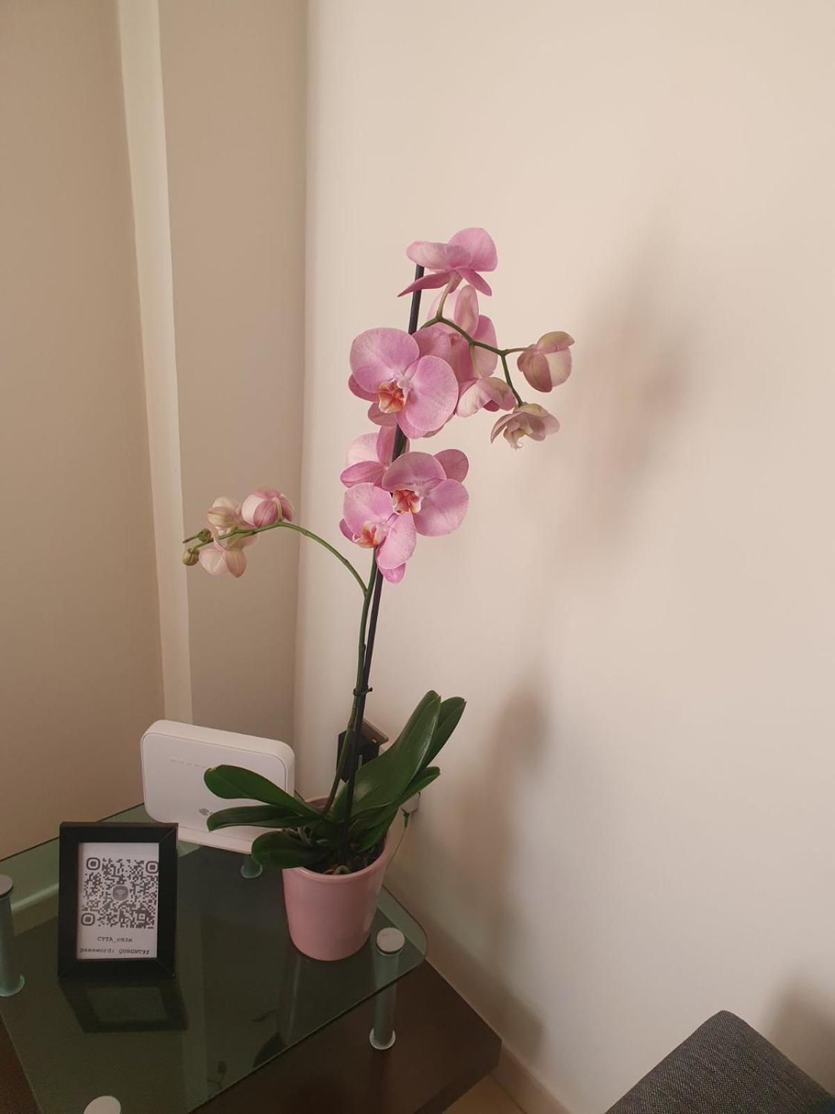 2 Bedroom Apartment, Zygos Centre Block D - By Imh Travel & Tours Paphos ภายนอก รูปภาพ